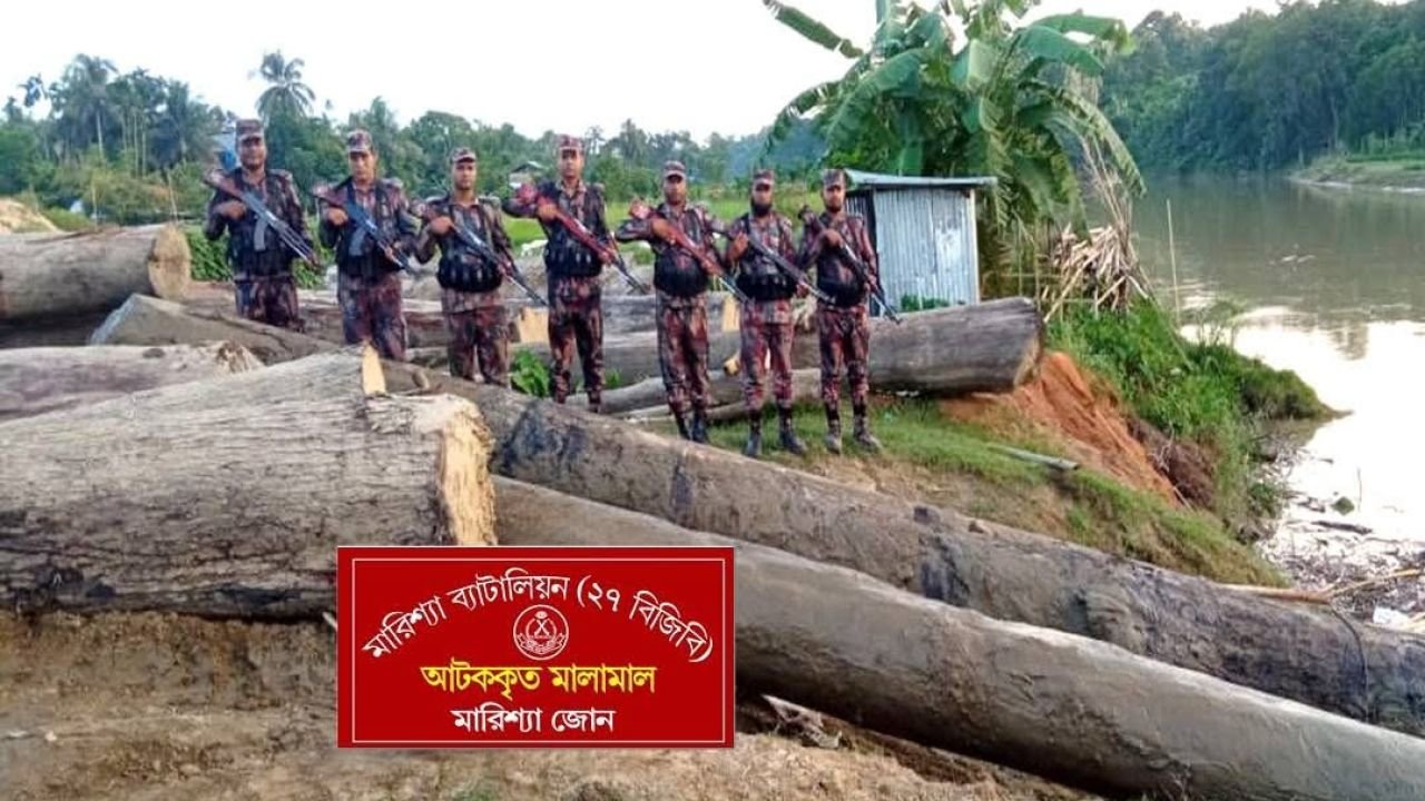বাঘাইছড়িতে বিজিবির অভিযানে বিপুল পরিমাণ অবৈধ কাঠ জব্দ