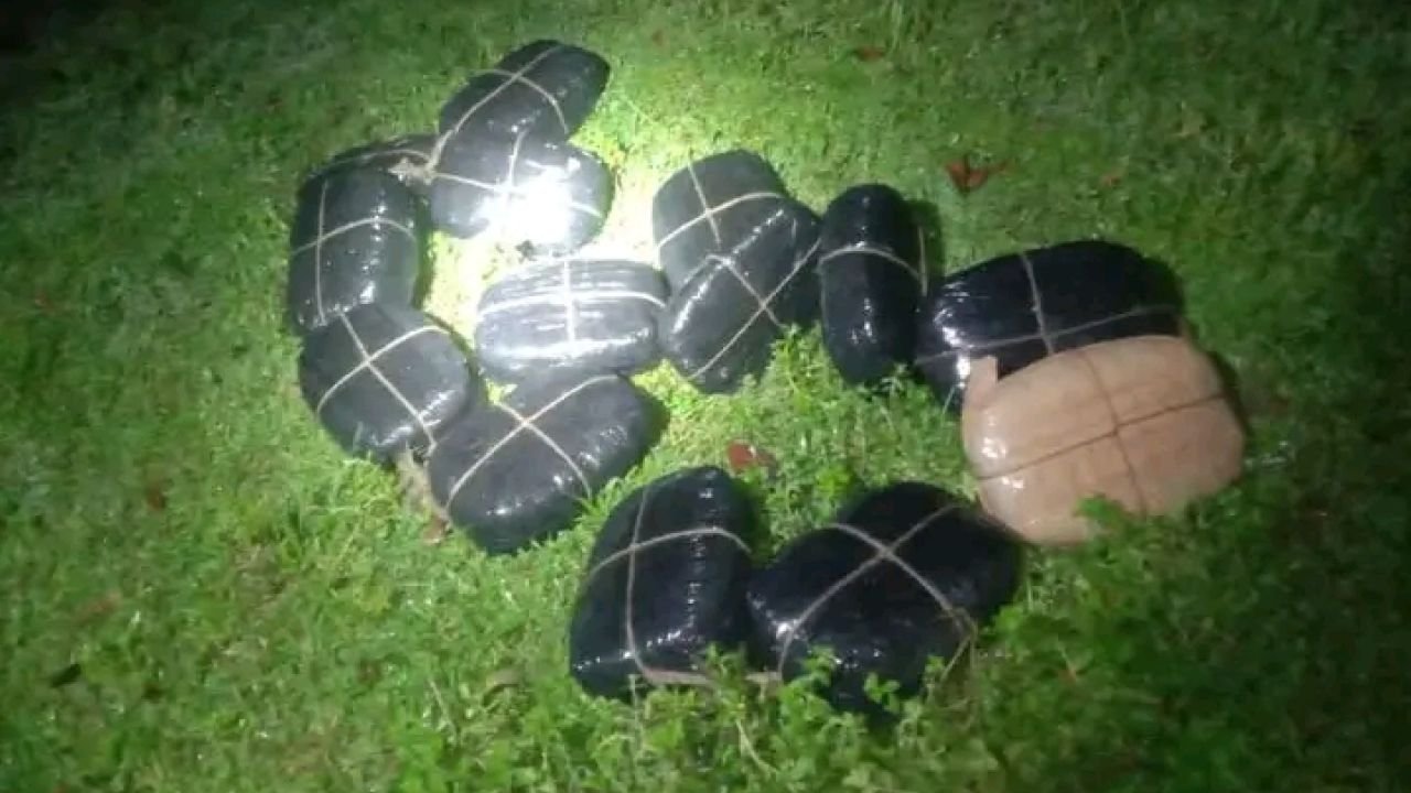 ফেনী সীমান্তে ৪০ কেজি গাঁজা রেখে পালিয়েছে চোরাকারবারি