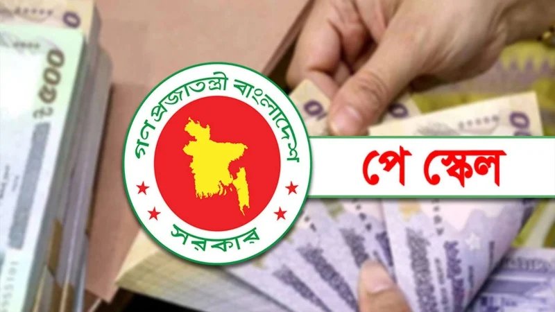 সরকারি কর্মচারীদের জন্য সুখবর! নবম পে স্কেল নিয়ে নতুন আপডেট